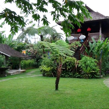 Bali Mountain Retreat Villa Selemadeg  Eksteriør billede