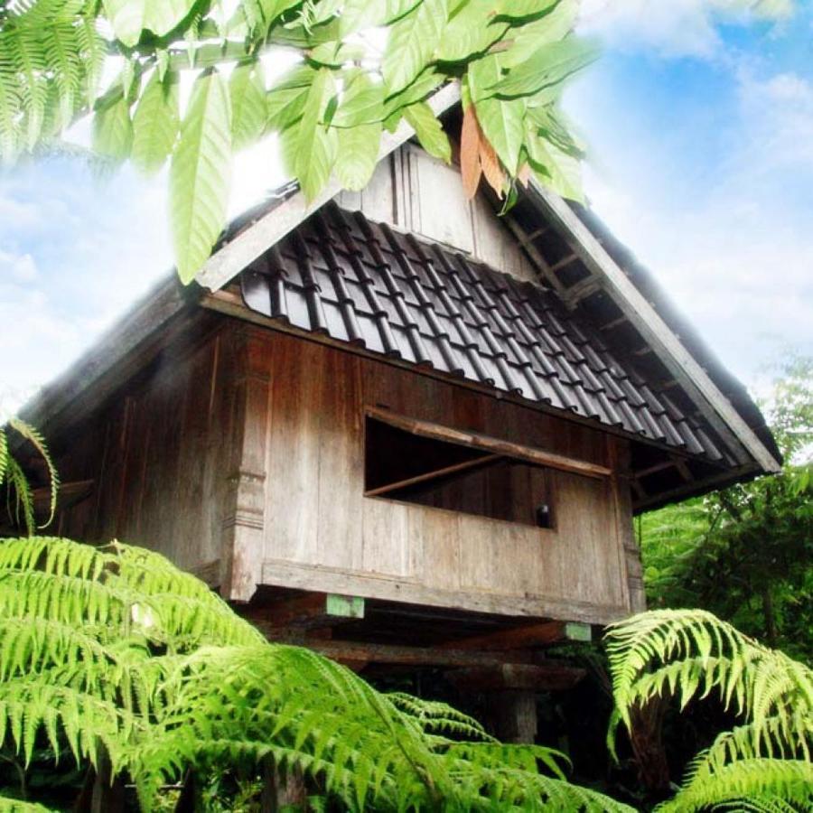 Bali Mountain Retreat Villa Selemadeg  Eksteriør billede