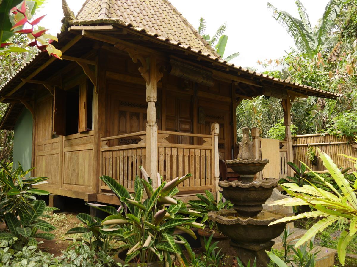 Bali Mountain Retreat Villa Selemadeg  Eksteriør billede