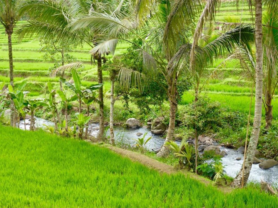 Bali Mountain Retreat Villa Selemadeg  Eksteriør billede