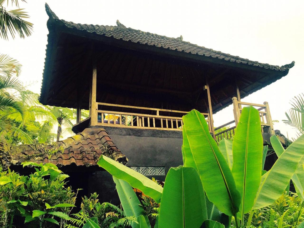 Bali Mountain Retreat Villa Selemadeg  Eksteriør billede